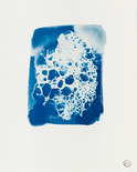 Rana Pipa - der Keim der Dinge #2, 2023

Direktbelichtung von Seifenblasenschaum / Cyanotypie auf Baumwoll-Bütte, 20,5 x 16,5 cm, gerahmt
gestempelt, rückseitig signiert und beschriftet

Ausrufpreis: 200,-