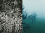 Trees, 1988/2024

Analoge Fotografie digitalisiert, 45 x 60 cm, gerahmt
1/5 + 2 AP, rückseitig signiert

Ausrufpreis: 450,-