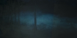 Nebel im Prater, 2008

Öl auf Leinwand, 55 x 110 cm
hinten signiert und datiert

AUSRUFPREIS: 350.-
